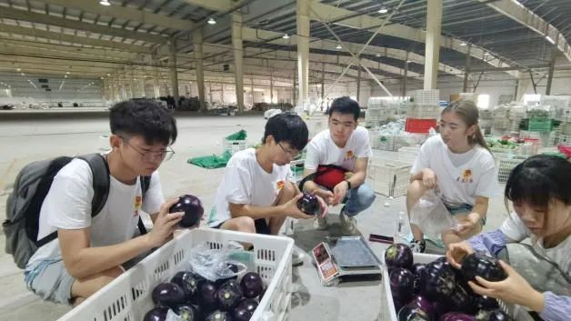 说明: 图片